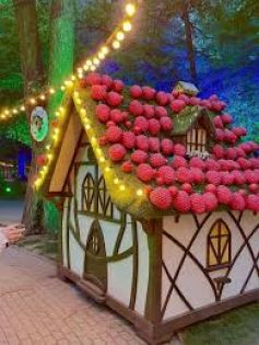 ПРОЛЕТНА ЕУФОРИЯ В КРАЙОВА