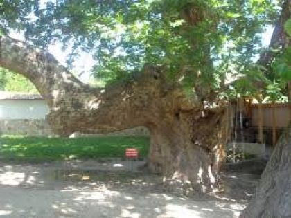 Златолист-Мелник-Рупите